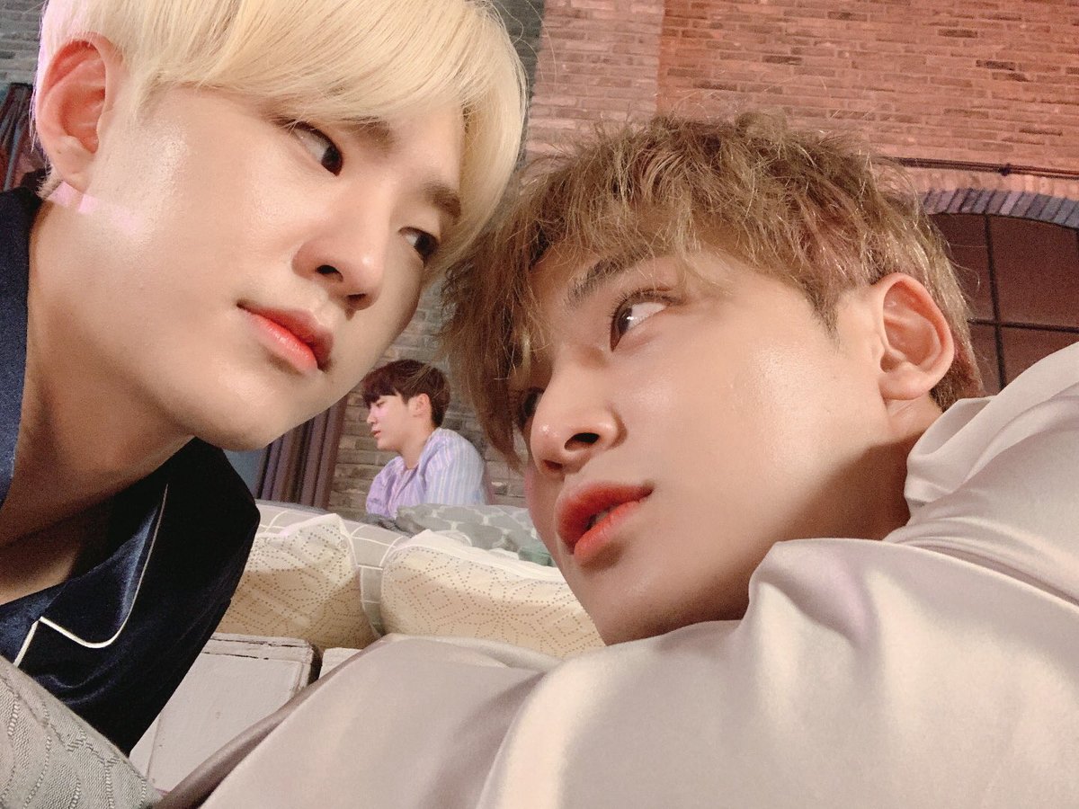soomwoo's tweet photo. happy 1st anniversary to this soongyu photoset! i luv my children very much 🐶🐯💕 https://t.co/oRkD2wo4qy