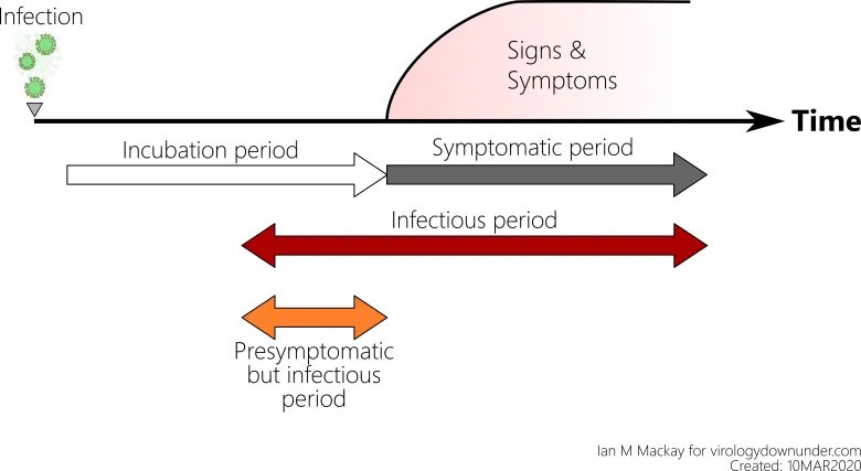 3) Because in this worse scenario—there is a WINDOW OF TIME in which you can be in your incubation time, but infectious, but not test positive yet (usually day 5 or after, sometimes day 4, rarely day 3)—which would allow the gap in which Trump tests negative Tues but infectious.