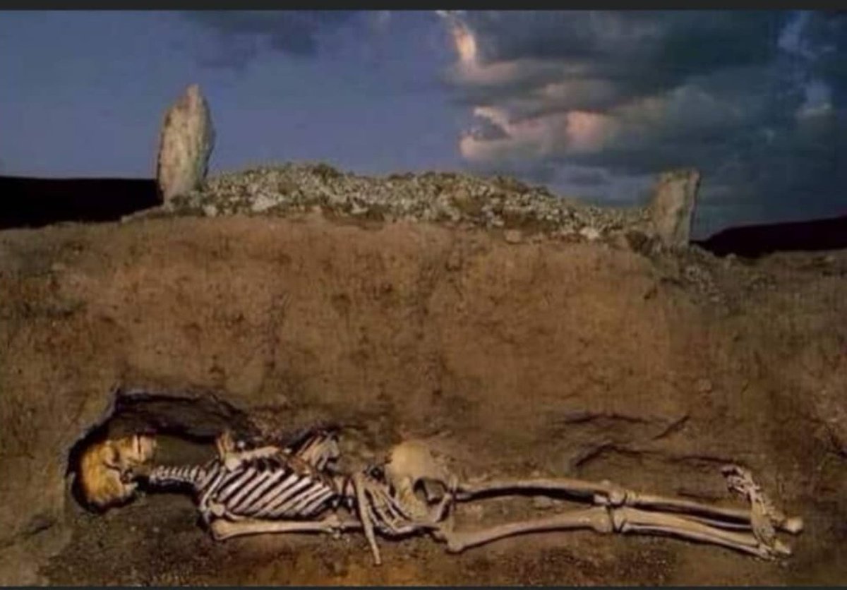 Abdulla12189935's tweet photo. Life all about the end when you see the reality of life!!😰😭
#DeathOfDemocracy #finalplace #juma_Mubarak https://t.co/O79EyfM1cN