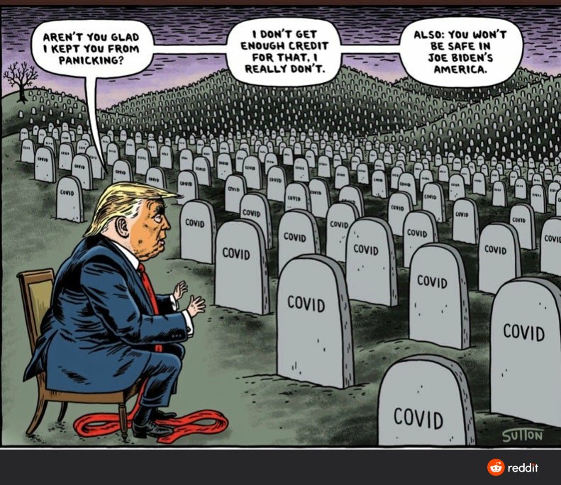 WalpurgaMueller's tweet photo. @realDonaldTrump @FLOTUS October surprise: Karma is back.

Trump has contracted the hoax that he managed from 15 cases down to 7 million. https://t.co/Lpu7d0KXnF
