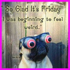 Morebo5's tweet photo. #happyfriday #feelgoodfriday #fridaymorning #fridaythoughts #morebo https://t.co/J0TbtcWbRR