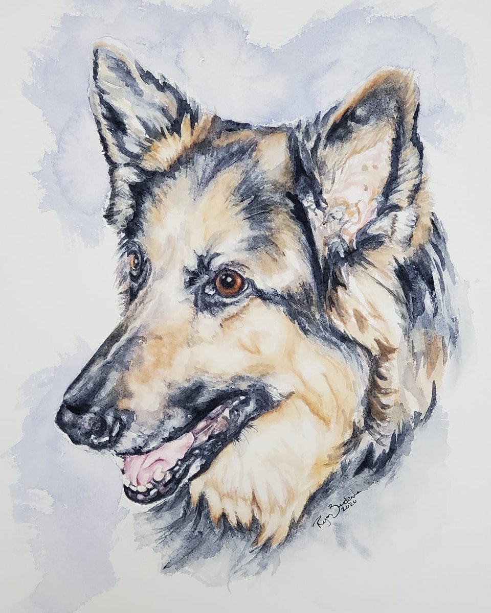 artful_turkey's tweet photo. My largest pet commission to date!
.
.
https://t.co/9DiRtShZlq
.
.
#art #artist #animals #watercolour #watercolor #twitch #twitchstreamer #artistsontwitter #artwork #dogsoftwitter #commissionart https://t.co/Xc7QUEqTXu