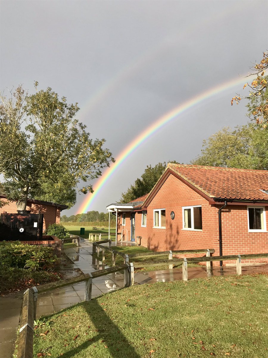 Thomas Mills Languages tweet media