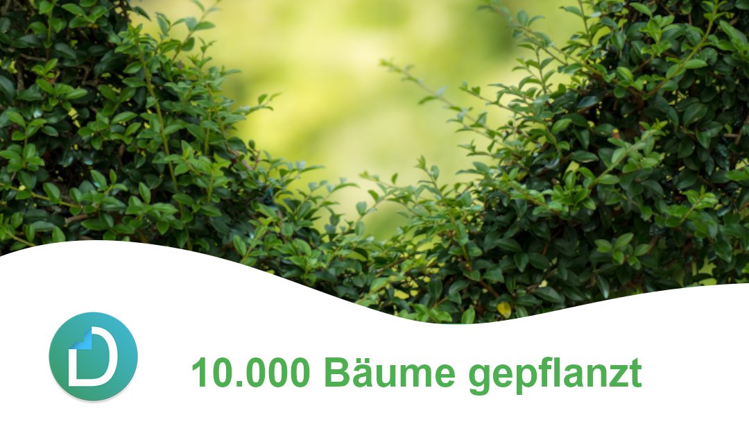 docutain's tweet photo. Gemeinsam haben wir 10.000 Bäume gepflanzt! 🌳🎉

Vielen Dank an die beste Docutain-Community!

Gemeinsam schaffen wir noch viel mehr und leisten damit einen nachhaltigen Beitrag zum Klimaschutz: https://t.co/nnAcQCeYyh

Und wann startest du?
#docutain #klimaschutz #wirsagendanke https://t.co/5cy1Ylm7YS