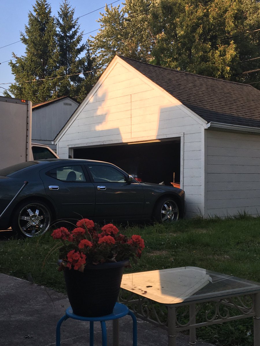 Nickels187's tweet image. #charger #Donna #22inches #buffalo #nickels