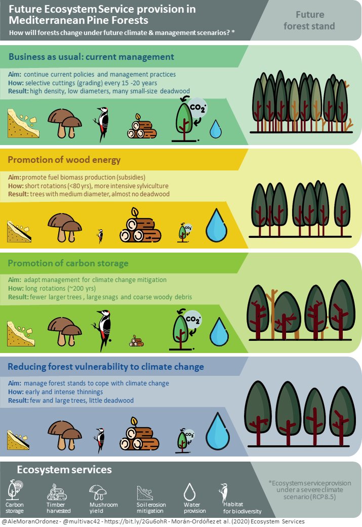 Forest management rather than  #climatechange will determine future provision of  #ecosystemservices by  #Mediterranean forests! One of the main results of our latest paper in  #ecosystemservices journal  @ecolandlab  @MedForLab  @fidbosc  @ctforestal  @UdL_RDI  @CREAF_ecologia