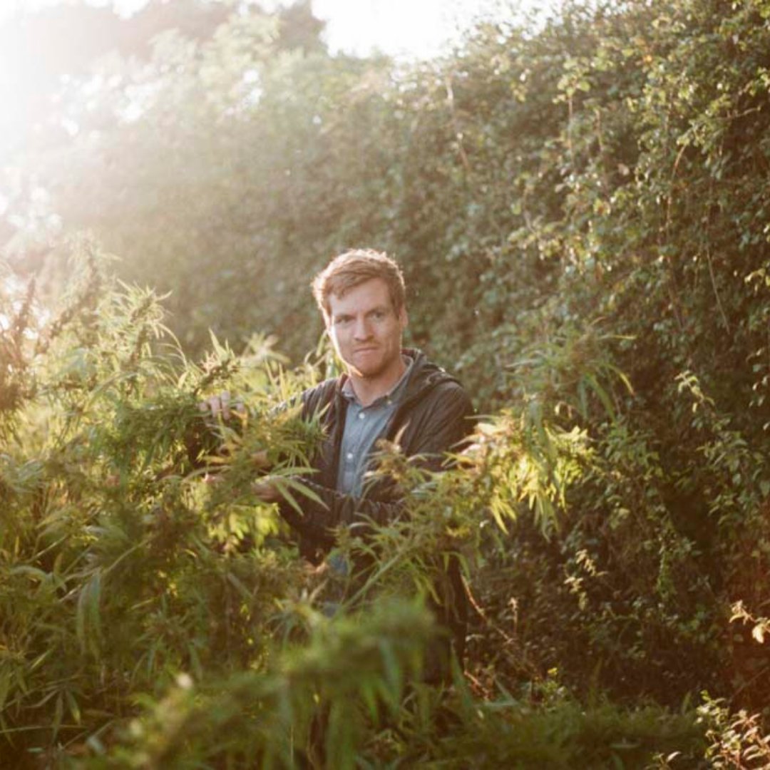 Vitality Hemp tweet media