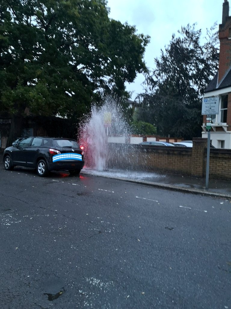 Philippa Sturt tweet media