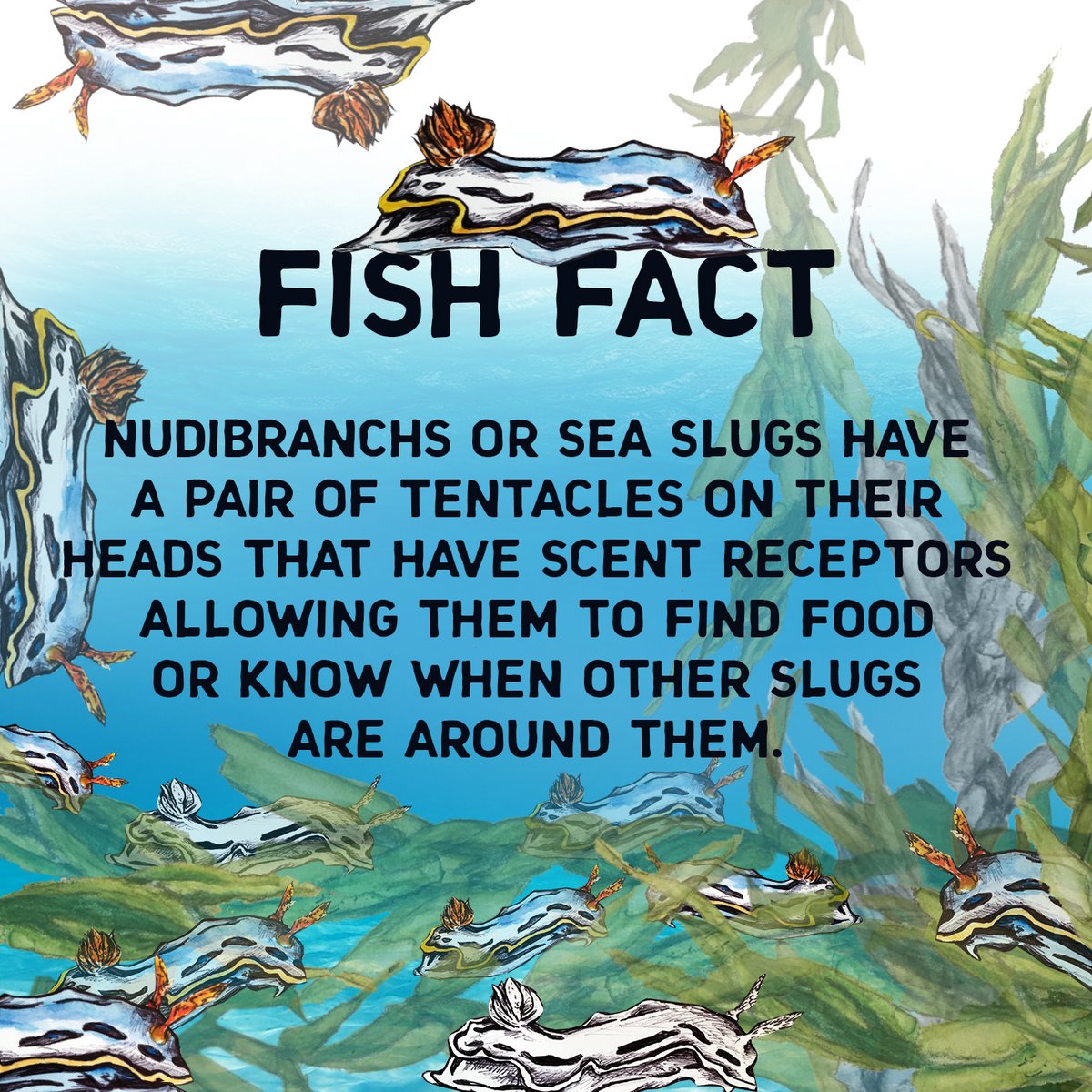 unshore_rbc's tweet photo. Good Morning! Here's something about Sea Slugs you may not know...
Drawing by Bryony Cox
#seaslugs #devisedtheatre #verbatimtheatre #theaterforyoungaudiences #actormusicianship #artmeetsscience #tyausa #tyauk #sea https://t.co/VYnmBse4EJ