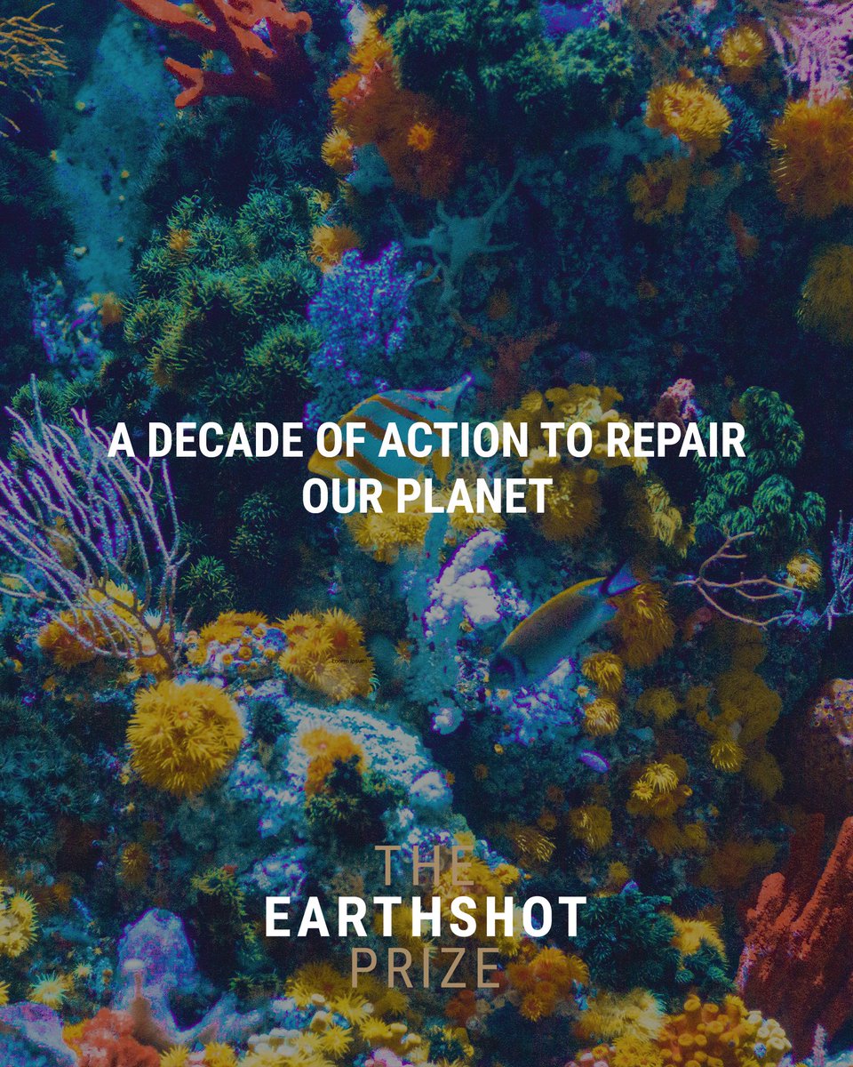 EarthshotPrize's tweet photo. The #EarthshotPrize is the most prestigious global environment prize in history. 08.10.2020 https://t.co/GtcBpxH23N