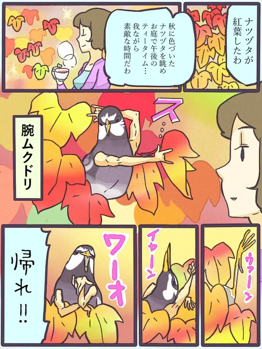 ヒヨドリさんたちが渡って来ました!
そして、これは今までヒヨドリを描いていたと思っていたら実はムクドリ描いていた腕鳥の漫画! 