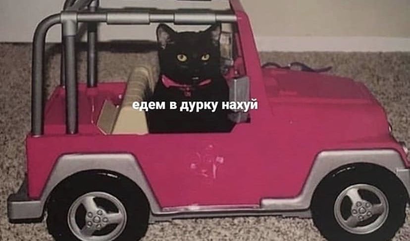 86Zenunya's tweet photo. Едем далее, ждём на педалии https://t.co/6tipu8Spn4