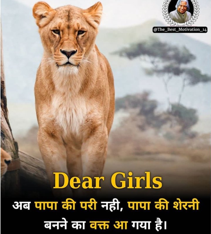 1Sanjusingh's tweet photo. @RahulkittuVish3 @Shyamdhangar852 @SukkiRajput @SUNILSh47172605 @17loharmangilal @yogitabhayana @ActorThalaAjit1 @miss_gosai5 @SonamDu04891219 @Neha0871 @leena_rajoria @nisha_labana @Sanjana1933 @Aashikourav1 @simran__goenka @sy @OpIndia_in @nagma_morarji @akshaykumar @KanganaTeam @republic @manojmuntashir @asmitadutta17 @richaanirudh @KapilMishra_IND @ManojTiwariMP @BeingSalmanKhan @_shristisinghal @ipsvijrk @LahriSunil @SaumyaU35015426 @mrsfunnybones @TheShilpaShetty @vidya_balan @SrBachchan 😡🔥🔥 #TeamForGirlsSefty #girlpower #strongwomen ab bno sherni... https://t.co/Qf3iZvL89v