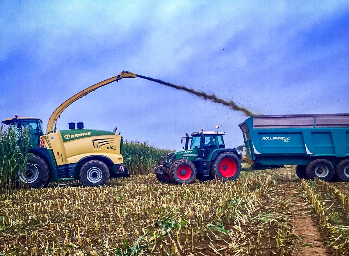 KroneFrance's tweet photo. 🚨Mise en route d'une belle #ensileuse #KRONE BiG X 680 chez ETA MAO dans le #Finistère avec son nouvel éclateur #OptiMaxx 250mm : ⚙️ Un seul éclateur standard pour tout faire, le faire bien, et fournir un ensilage de haute qualité au troupeau pour 12 mois de l'année ! 🌽🐄🥛 https://t.co/wTa9cfUOr5