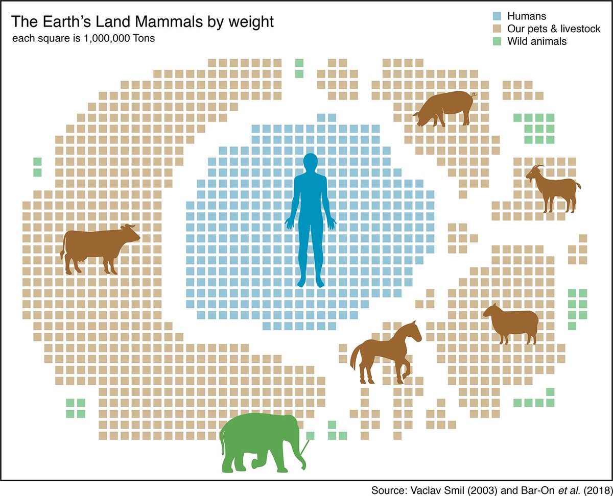 Weight of all land mammals 🌍

30% Humans 👨🏼‍🦰👩🏽👨🏾👵🏿👴🏻

67% Human Livestock 🐄🐂🐏🐖🐐 and pets 🐩🐈🐇

3% Wild animals 🐘🦏🦛🐆🐅🦓🦍🦒

We slaughtered the megafauna 

Now we are entering the 7th mass extinction ☄️

Welcome to our #Anthropocene