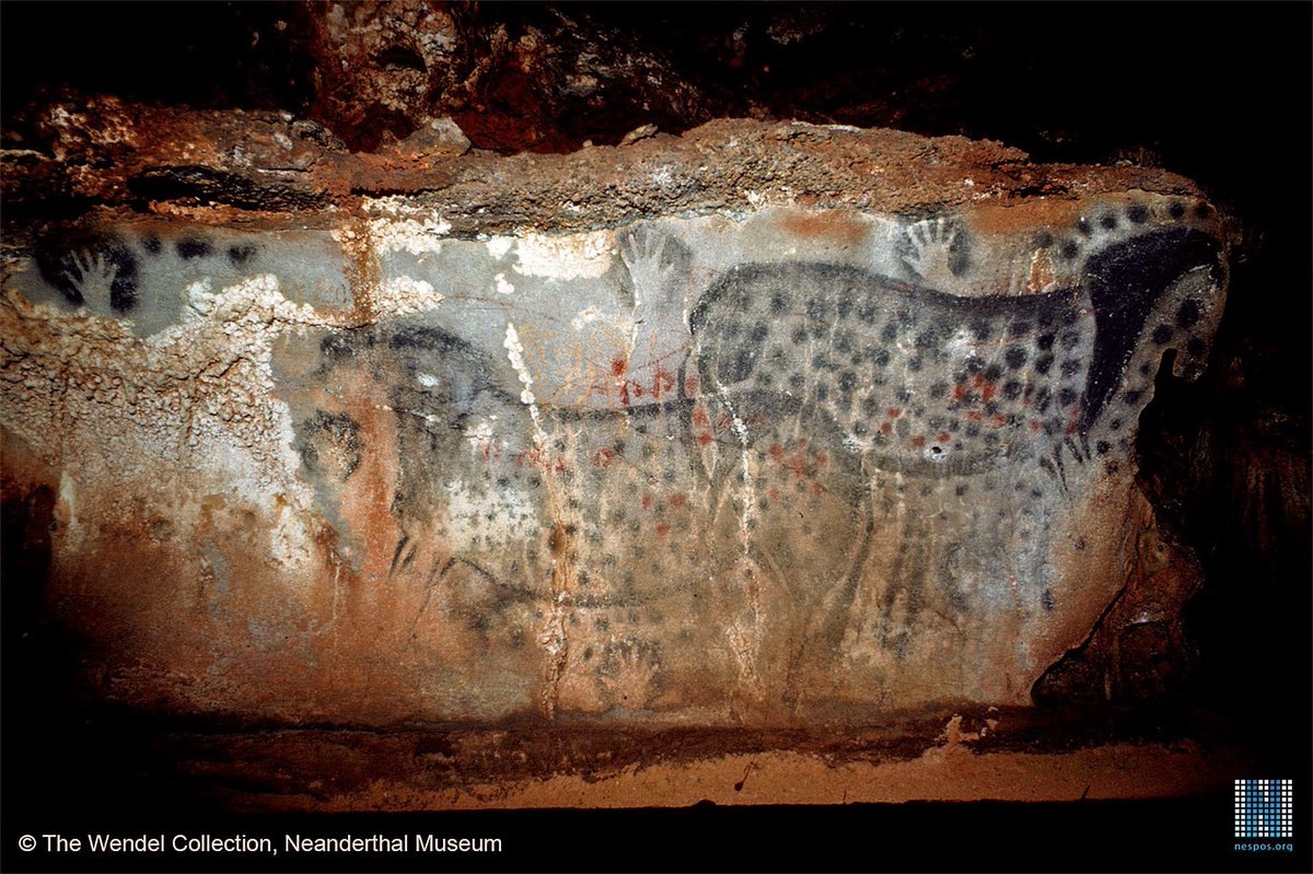 Dear friends, today we travel to the wonderful village of Cabrerets in the Lot. The amazing landscape of the Quercy is plenty of decorated caves and there is one that stands out from the rest:Cave:  #PechMerlePlace:  #Cabrerets, Lot (France)Motif: HorsesChronology: Gravettian