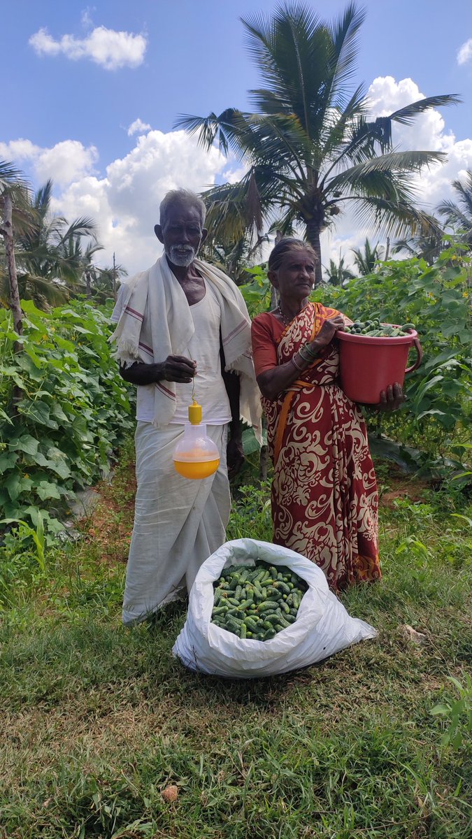 Natura Crop Care tweet media