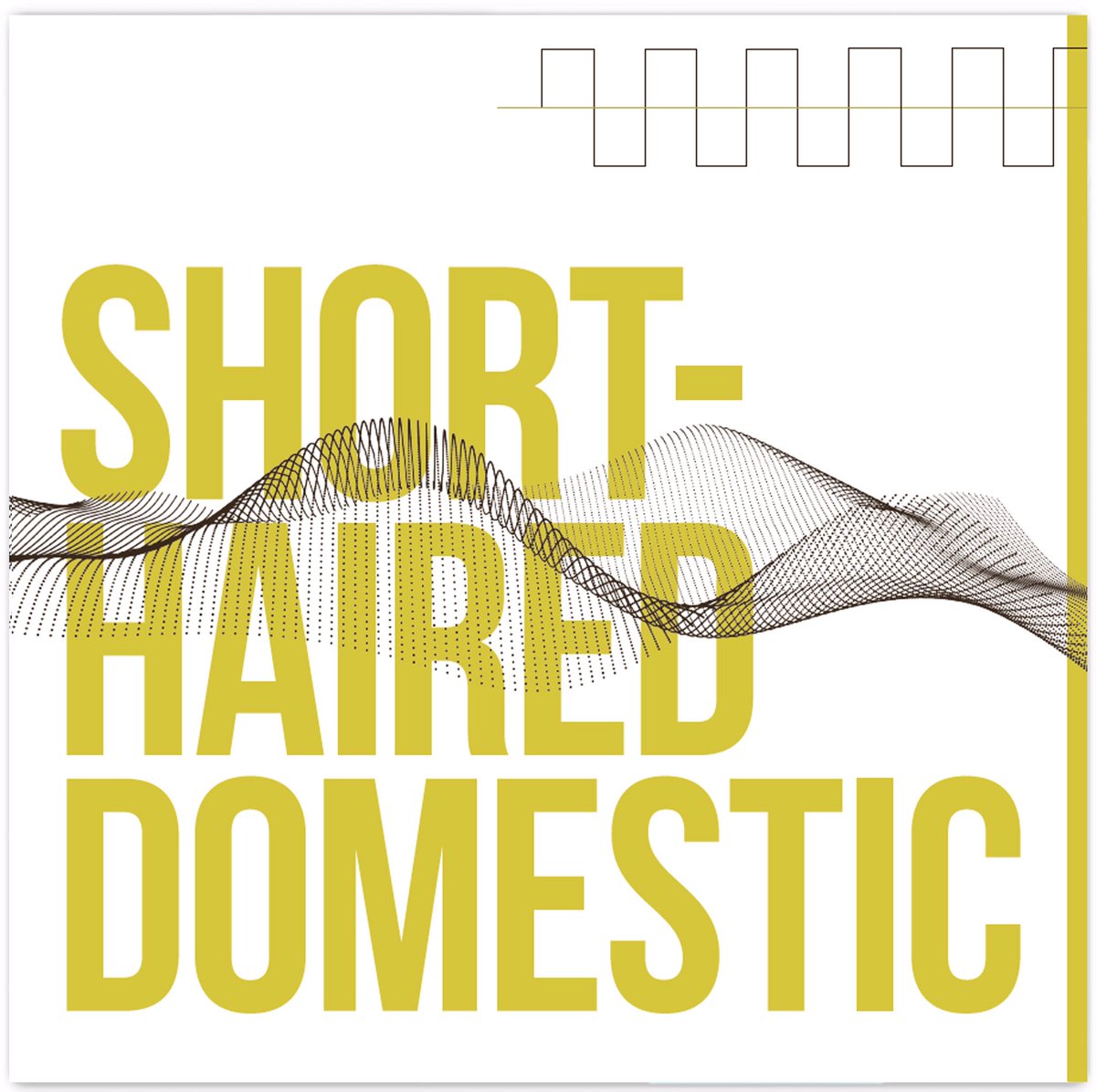 Hitherto unrevealed pop triv; TT Bside IGLITE is based on a deconstruction of what a fool believes by the doobie bros, which I heard in the taxi en route to studio that morning.

Also, this album finally released today, all formats

short-haireddomestic.bandcamp.com/album/short-ha…