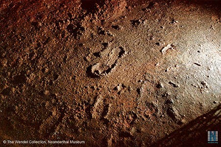 In fact, these humans have left their footprints on the floor of the cave, giving us invaluable information about themselves. Pastoors A. et al., 2016: Experience based reading of Pleistocene human footprints in Pech-Merle,  https://doi.org/10.1016/j.quaint.2016.02.056.