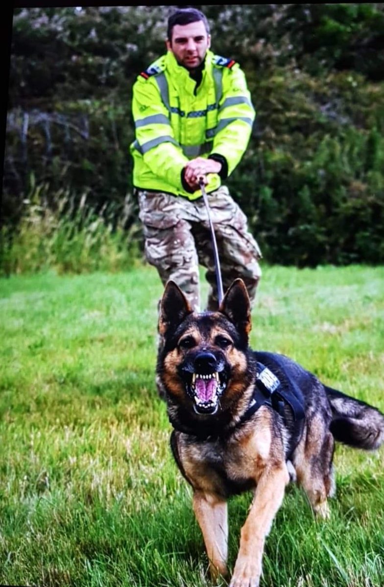 #RAFPolice Cpl Dean Kibble and #MilitaryWorkingDog Bennie from @rafbrizenorton are one of our highly trained teams capable of detecting and detaining armed intruders.
#securingNGAF #NextGenFP #NextGenRAF