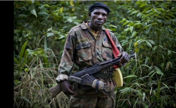  #MappingReport: got essentially redacted to push the  #Genocidaires narrative as victims of Genocide. Yet they got totally reorganized by  #Kabila & used as  #FDLR against Rwanda while plundering, raping & killing in Eastern Congo. The victims are the ones  #Mukwege started to treat