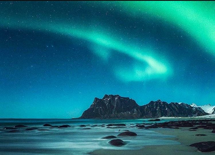 What’s your greatest wish?🌟.            #wish #life #nature #dream