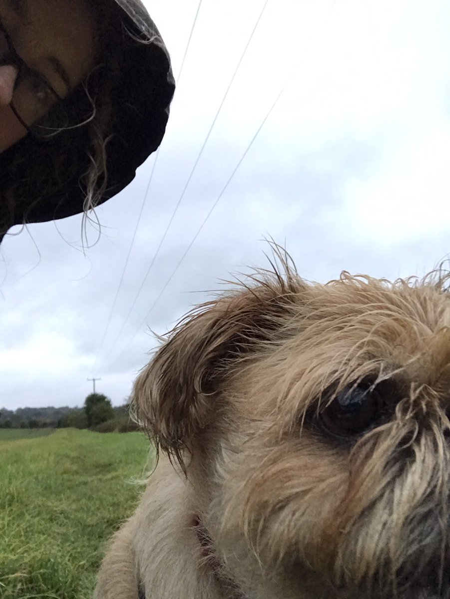 CharlieSQL's tweet image. More of a #sqlbitswalk than a #sqlbitsrun, but got out for a somewhat damp and windy 2.5 mile walk with two of the dogs this morning (the third one refused to come as it was raining 🙄), started a bit later than 06:30 though as it was pitch black!