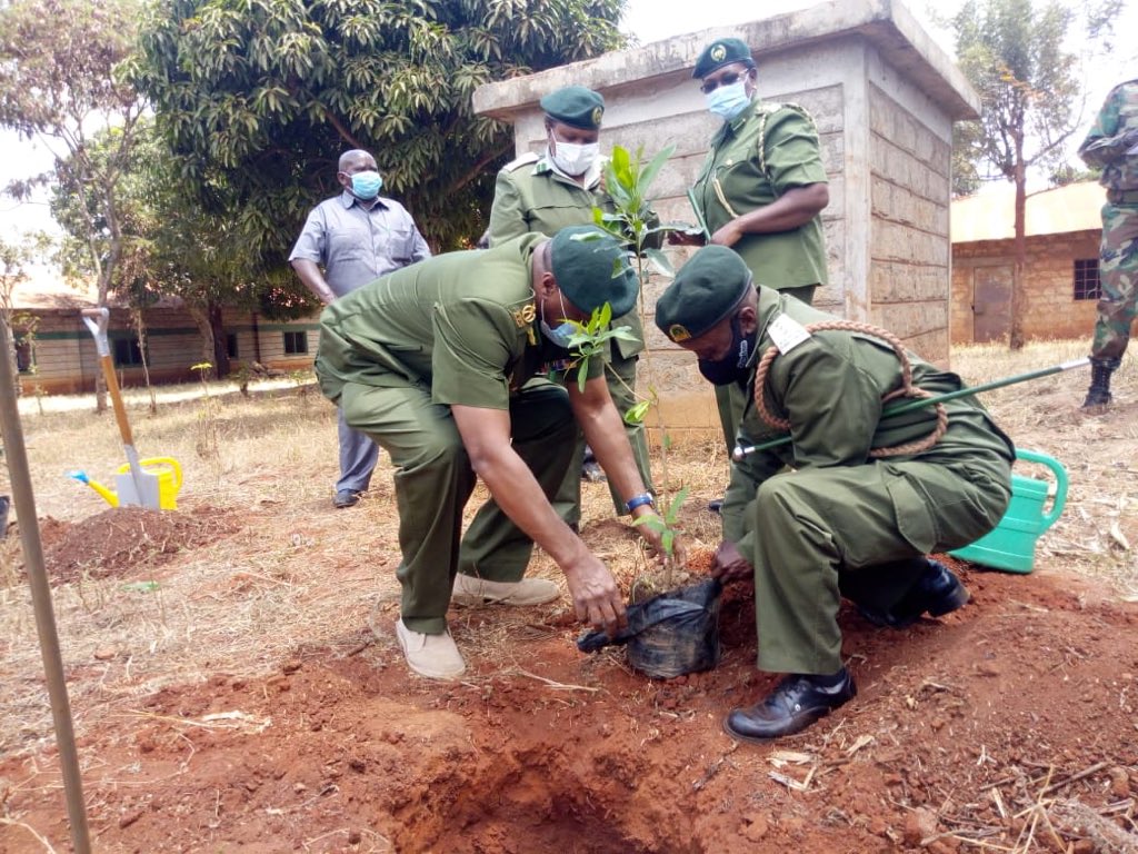 KeForestService's tweet image. Green Zones Development Support Project Phase II (GZDSPII) yesterday handed over 3000 seedlings and farm products including grains and fertilizer to farmers in Tala Machakos county towards promoting food security and agroforestry.