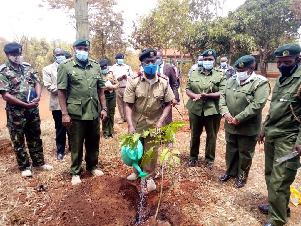 KeForestService's tweet image. Green Zones Development Support Project Phase II (GZDSPII) yesterday handed over 3000 seedlings and farm products including grains and fertilizer to farmers in Tala Machakos county towards promoting food security and agroforestry.