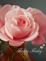 Happy Friday to all my dear freinds and followers, wishing you love, peace and good health. Much love 😘🌹🌹