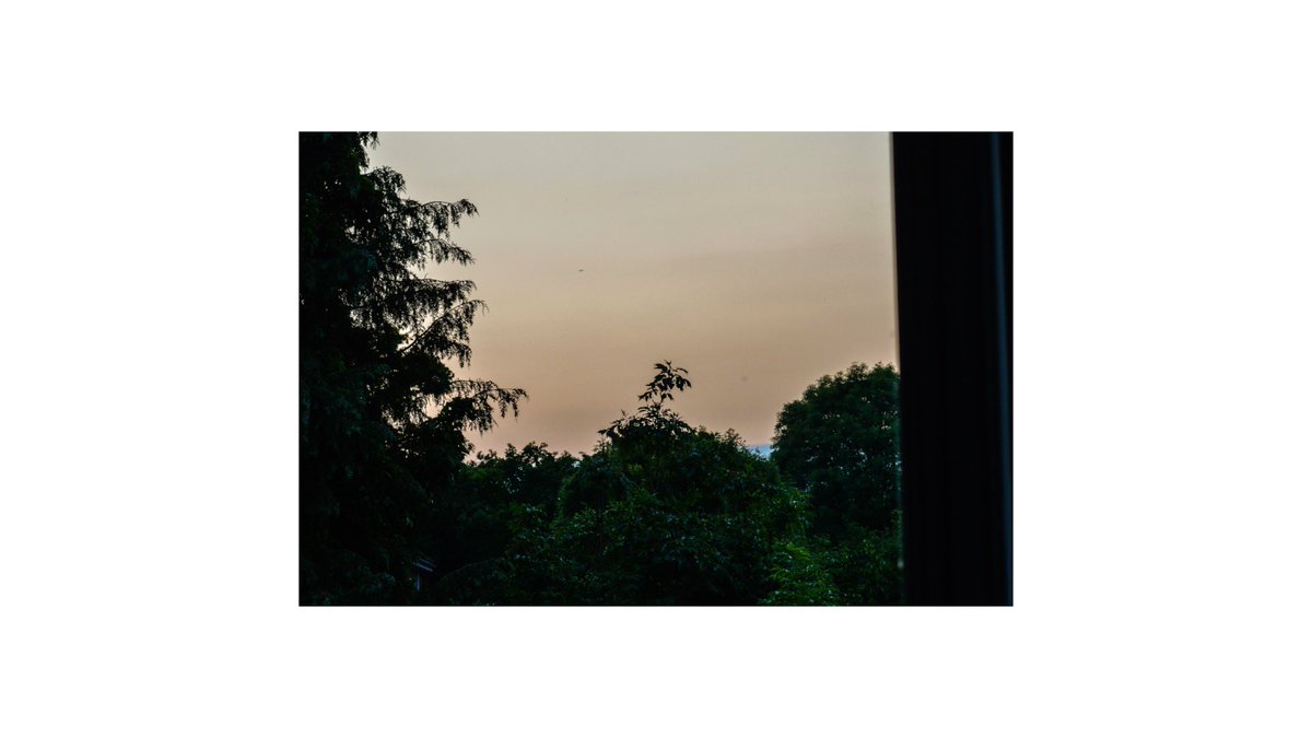 Nocturnal Sunlight feat. Emmy out now!!
open.spotify.com/track/7loJ0wCe…

#pickupjazz #riffwars #pickupmusic #pickupbeats #souletiquette #somewheresoul #jazz #blues #london #bluenotereimagined #guitaristsofinstagram #guitarvideo #shoreditch #producersofinstagram #producerjams