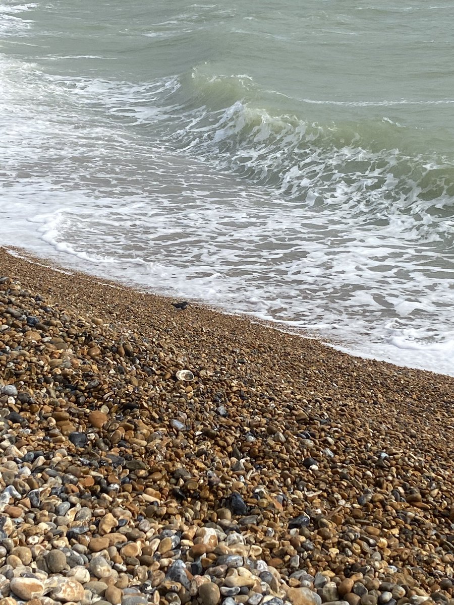 Day 3/7 we have been nominated by @artbirds to produce a picture a day for 7 days to illustrate our daily life (no people) you have to nominate a person a day, asking to copy these words, add photo and repeat the challenge. Today we nominate <a href="/OneMaidstone/">One Maidstone BID</a>