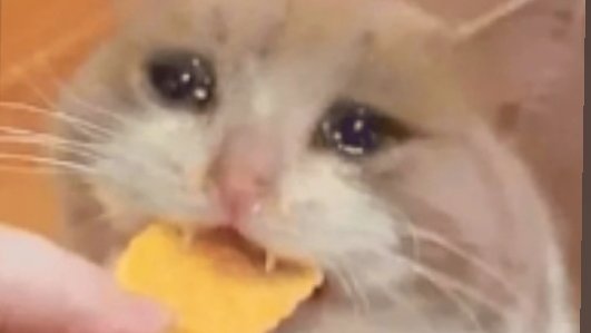 scorpion_memer's tweet photo. Mom (after beating me) : beta khana kha le
12 y/o me: kuch bhi ho jaye aaj nhi khaunga
*after 2 slaps from dad*
Me: https://t.co/GclC99W6vl