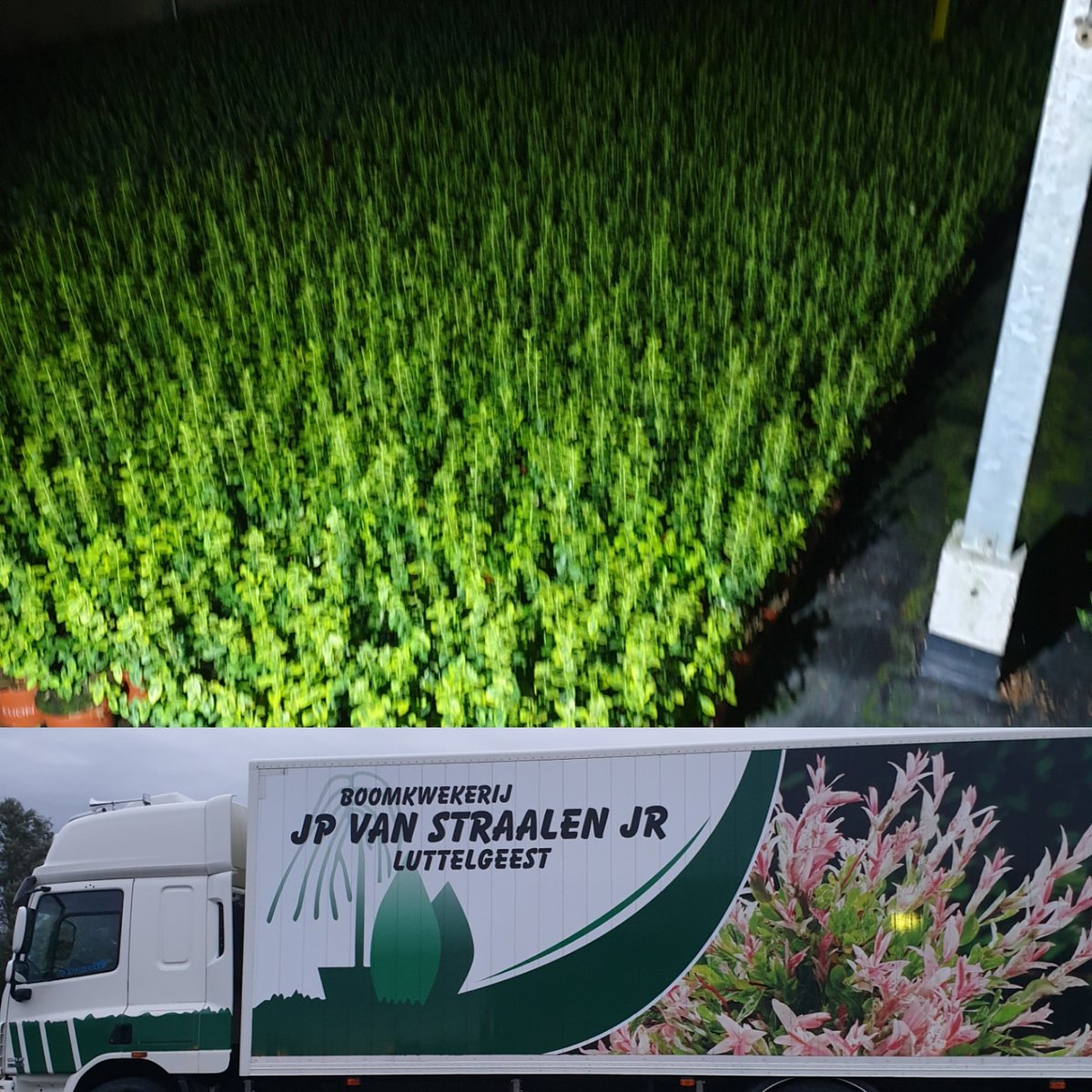 Gisteren een interessante avond gehad bij <a href="/JPvanStraalenJr/">JP van Straalen Jr.</a>  Samen met oud studenten van <a href="/GroeneWelle/">Groene Welle</a> leren van en met elkaar. #jongondernemen #ontwikkeling #bedrijfsovername #levenlangontwikkelen #mogelijkheden #boomkwekerij #jongeren