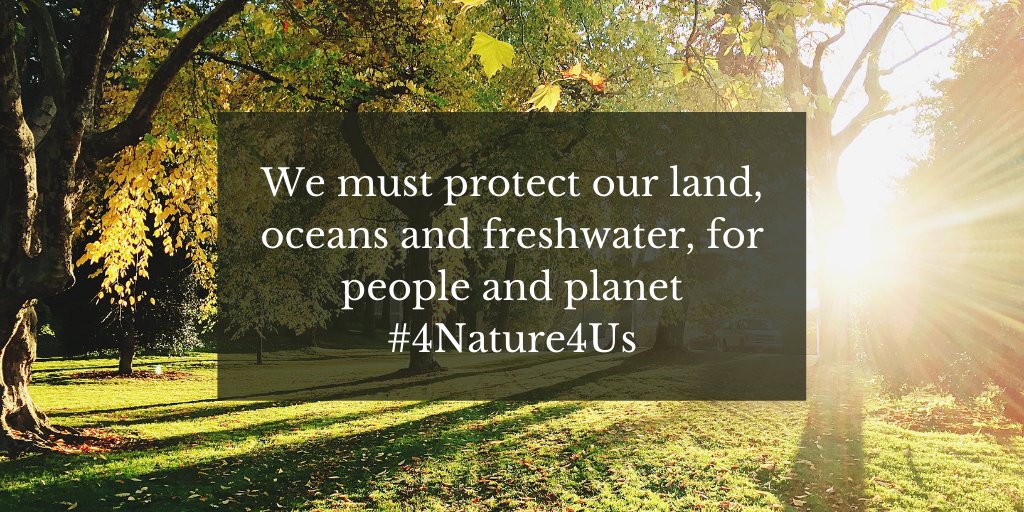 Commitments at the @UN #BiodiversitySummit must be backed up with immediate action #ForNature.

We face a #PlanetaryEmergency threatening all life on Earth. The time to act is now. #4Nature4Us #NaturePostive #ForNature
👉bit.ly/349rqKW
