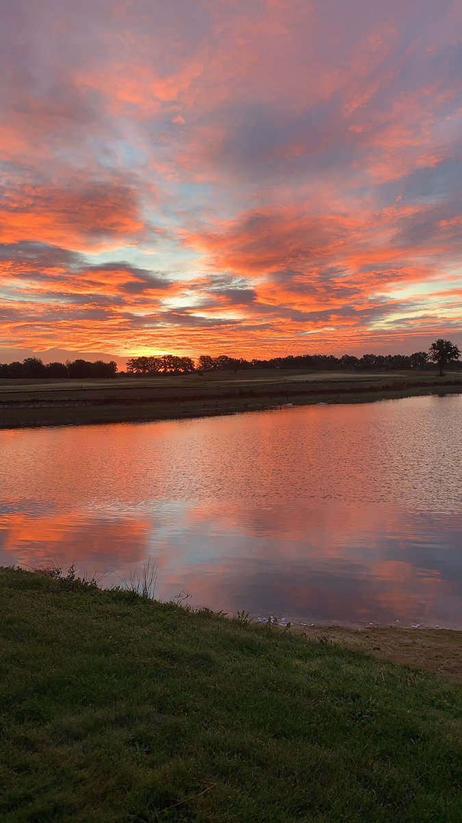 Hein van den Einden tweet media