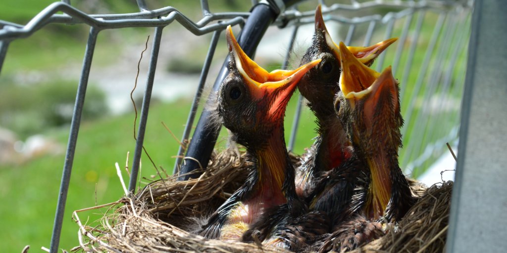 dynamodb's tweet image. How to work with &amp;amp; refer to attributes in an expression in DynamoDB. You can work with any attribute, even if it is deeply nested within multiple lists &amp;amp; maps: go.aws/35dhCxO