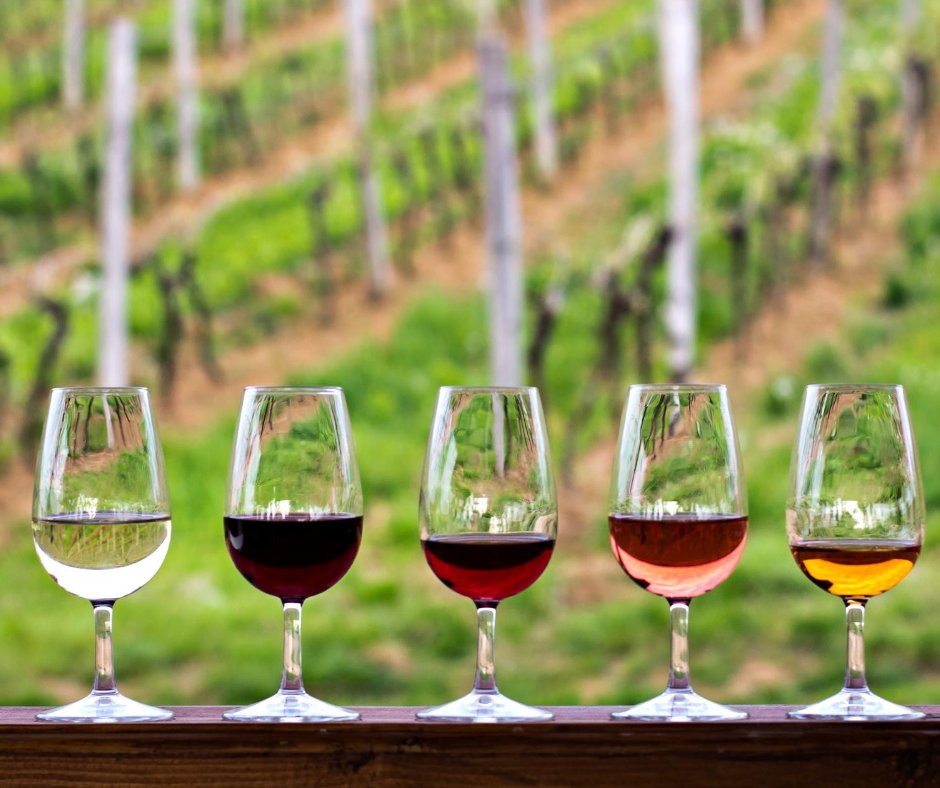 Vinescapes 🍇 tweet media
