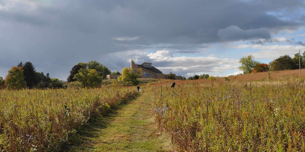 cleanlakes's tweet photo. Thank you #Hydrite for helping #RenewTheBlue at Holy Wisdom Monastery! Volunteers collected seeds for Dane County Parks - the seeds will be used to improve land around our watershed, including in the future platinum prairie at Pheasant Branch Conservancy. 
#healthylakes https://t.co/7IaAdIoWD9