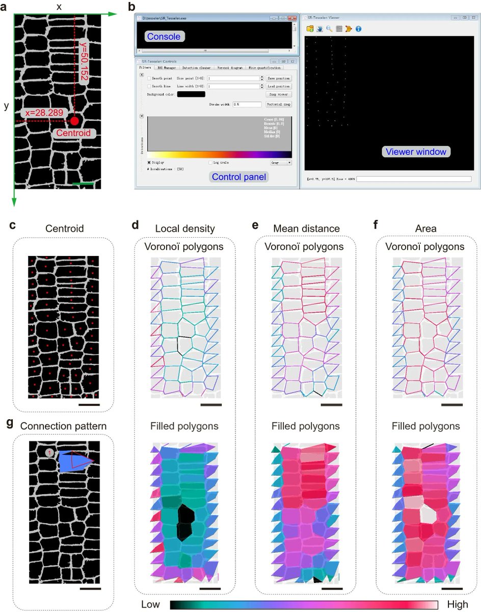 sci_plant's tweet image. High-efficiency procedure to characterize, segment, and quantify complex multicellularity in raw micrographs in plants

plantmethods.biomedcentral.com/articles/10.11…
#plantsci #raw #micrographs ♻️