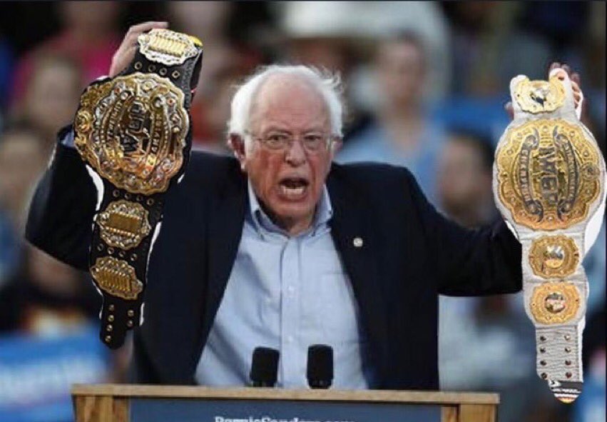 BagsFoSho's tweet image. After Trump and Biden both get Covid.  #BernieIsBack