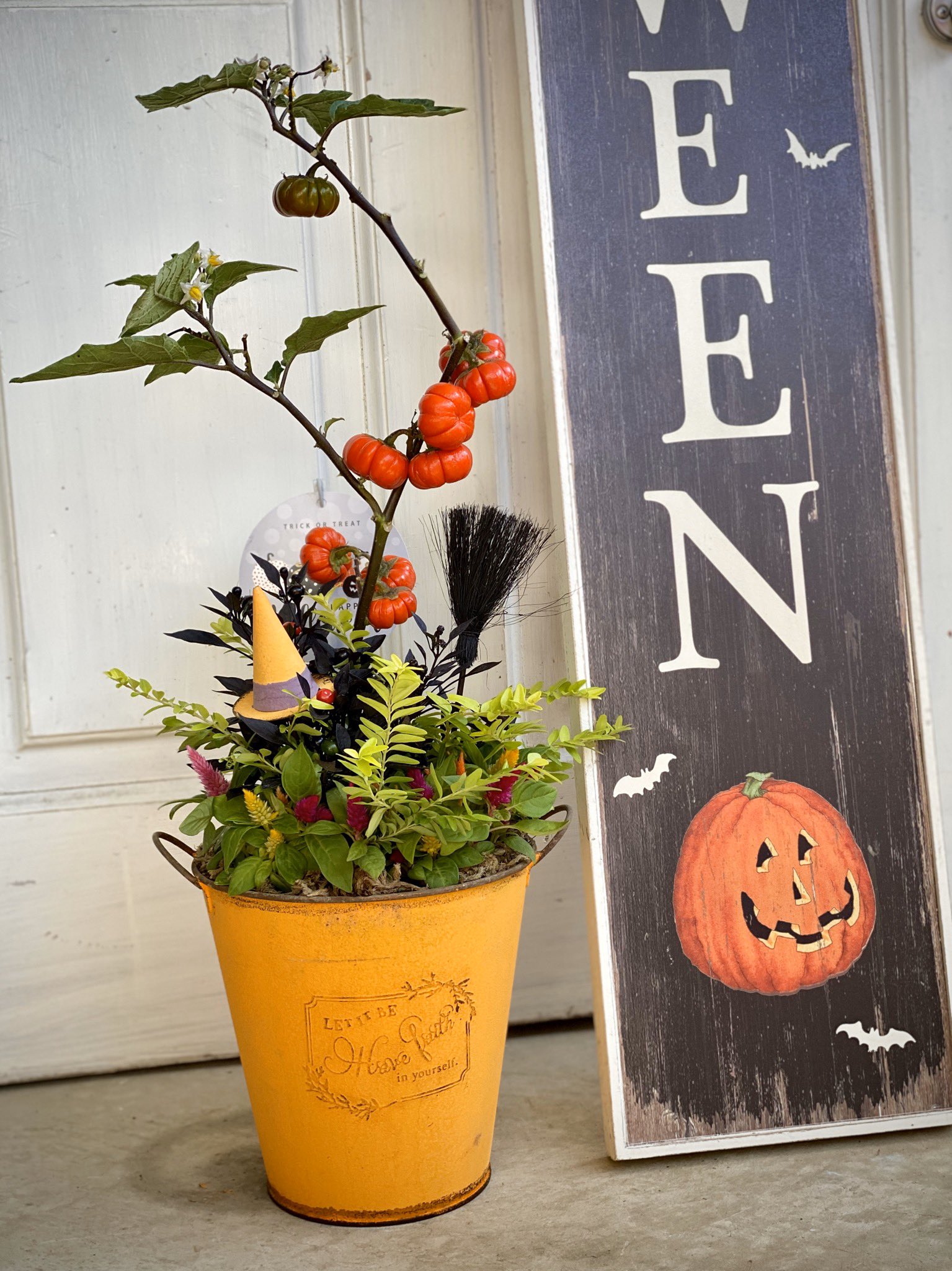 わたなべ花壇 入荷速報 ソラナム パンプキン の寄せ植え わたなべ花壇 T Co Wv7yealru8 Twitter