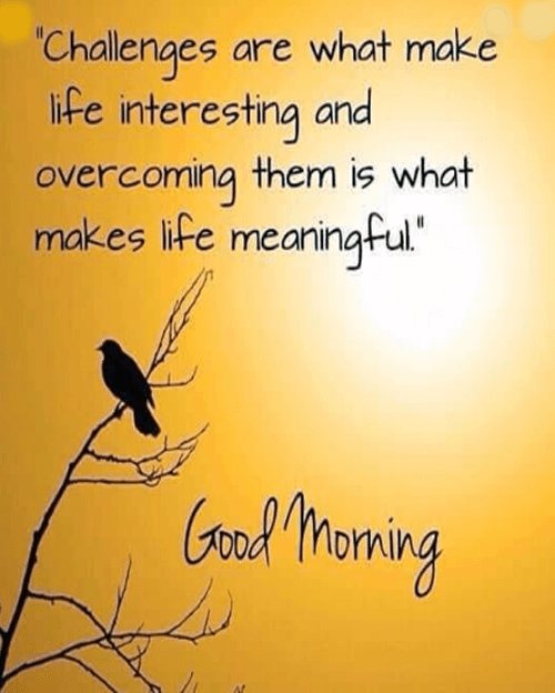 PatsyHaynes1's tweet image. 