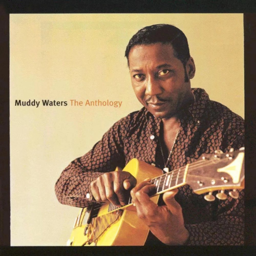 483 - Muddy Waters - The Anthology (2001) - another 3 hour compilation that really shouldn't be here. Luckily my listen was split between two days, so I didn't feel like I was going crazy