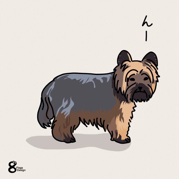 ヨークシャーテリアのtwitterイラスト作品