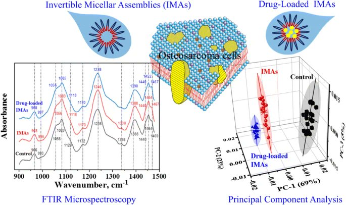 Detection of macromolecular inversion–induced structural changes in #osteosarcoma cells by #FTIR #microspectroscopy
by Andriy Voronov et al <a href="/MayoClinic/">Mayo Clinic</a> <a href="/MayoOrthoRes/">Mayo Orthopedic Residency</a> <a href="/NDSUCPM/">NDSU Coatings and Polymeric Materials</a> <a href="/NDSU/">North Dakota State University</a> <a href="/LvPolytechnic/">Львівська політехніка</a> #PCA #cancer #cells #IMAs #polymer

link.springer.com/article/10.100…