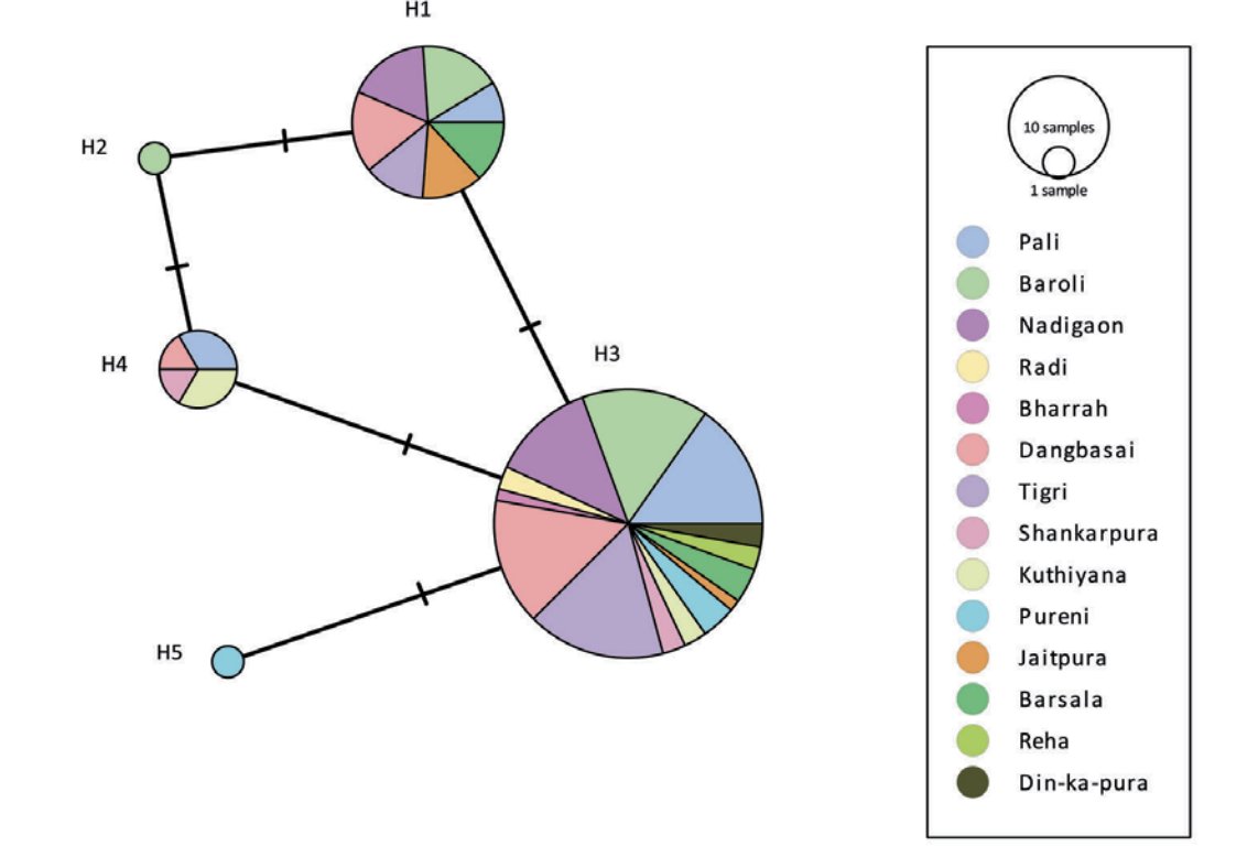Low levels of genetic variation in gharials is worrying. See the OA paper by Sharma et al. "Mitochondrial DNA analysis reveals extremely low genetic diversity in a managed population of the Critically Endangered Gharial (Gavialis gangeticus, Gmelin, 1789)" tinyurl.com/y6prj6ab