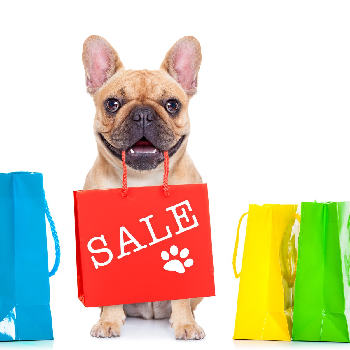 BullyStickTweet's tweet photo. SAVE 25% ON ALL 'SELECT BULLY STICKS'
Valid 10/2-10/5/2020
USE CODE SELECT AT CHECKOUT
https://t.co/Cc3duyt0bs
#bullysticksdirect #sticks #bullystick #doglove #doglife #braided #turkey #gullet #tendons #pork #beef #balljerky #tripetwists #dogowners #doglifestyle https://t.co/0lkgabFWbh