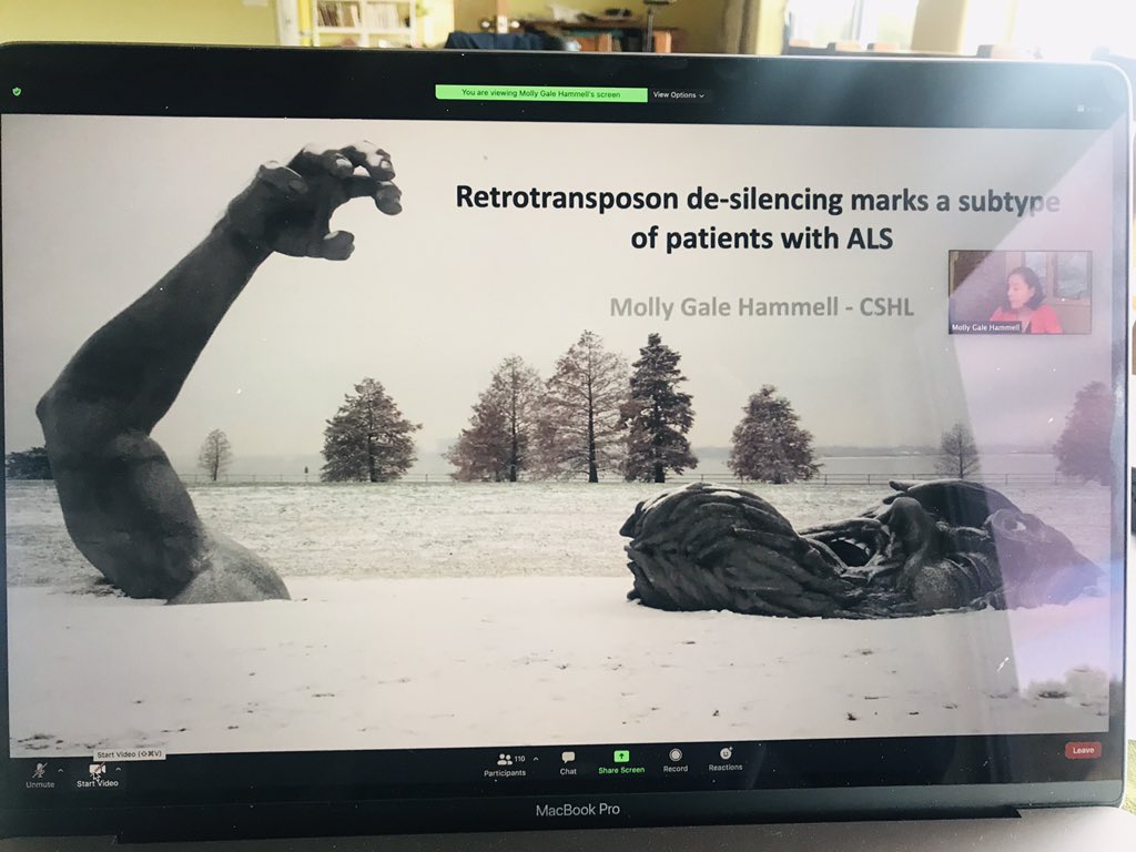 CedricFeschotte's tweet image. Great talk by @MollyHammell at #UppTransposon2020 — the plot thickens on transposon dysregulation in #ALS