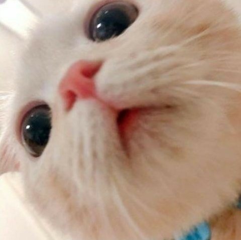 justfortrishia's tweet photo. @justforbella 
Selam cocum https://t.co/1gnKBxY7Jh